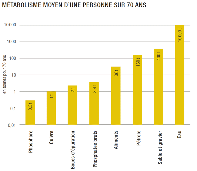 Evaluation approximative du métabolisme totalisé au cours d’une vie humaine dans un pays industrialisé, exprimée pour une sélection de ressources. L’échelle est logarithmique.